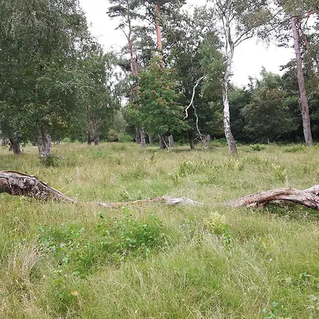 12 Person In Idestrup-by Traum * Bøtø By