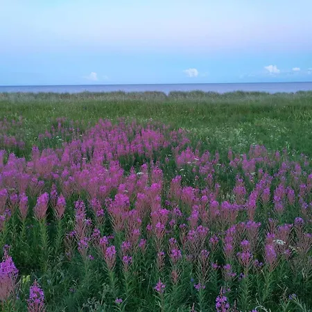 12 Person In Idestrup-by Traum Dom wakacyjny Bøtø By