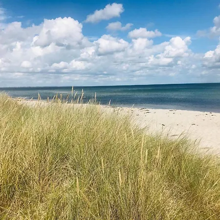 12 Person In Idestrup-by Traum