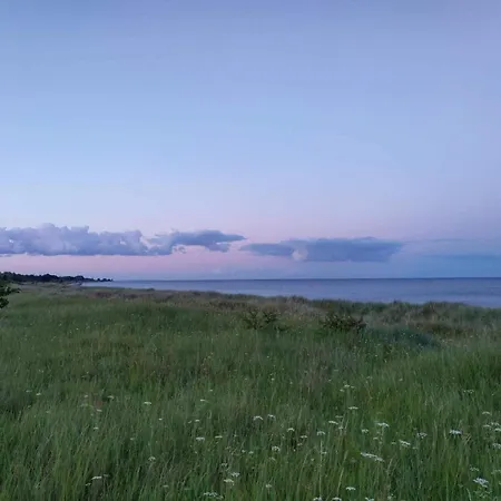 12 Person In Idestrup-by Traum