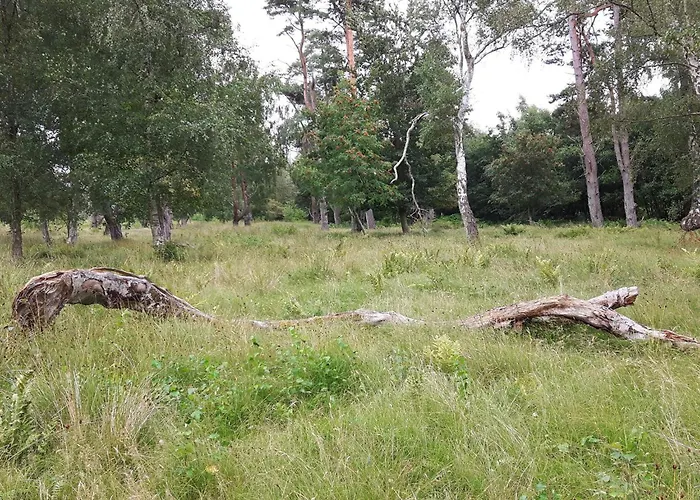 12 Person In Idestrup-by Traum * Bøtø By